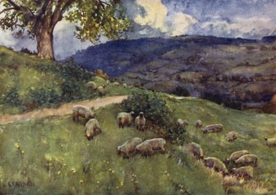 En Cotswold fårbete av George Franck Nicholls