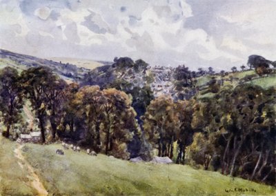 Camelford (färg litho) av George Franck Nicholls