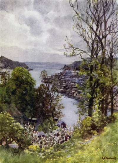 Fowey (färg litho) av George Franck Nicholls