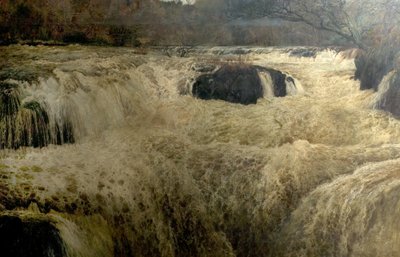 Salmon Leap, Cenarth Falls, Cardiganshire, Wales, 1878 av George Frank Miles