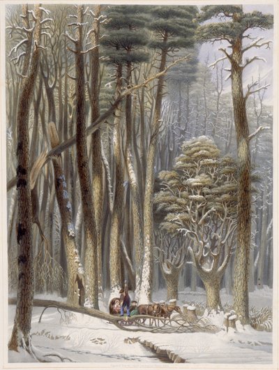 Vinter, hindrade resenärer i en tallskog, från Harveys Scenes of the Primitive Forest of America, 1841 (handfärgad akvatint) av George Harvey