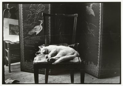 Katt på en stol i Breitners studio i Amsterdam av George Hendrik Breitner