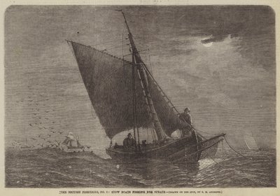 The British Fisheries, No 3, Stow Boats som fiskar skarpsill av George Henry Andrews