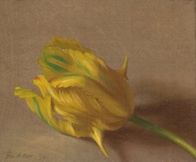 Tulpan av George Henry Hall