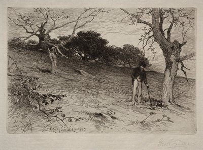 Landskap, 1883. av George Henry Smillie