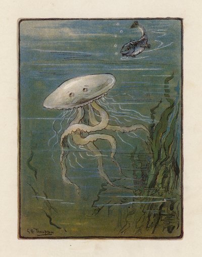 Jellyfish (färglitografi) av George Henry Thompson