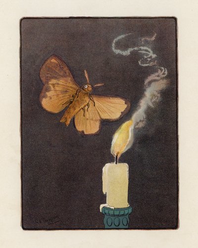The Moth (färglitografi) av George Henry Thompson