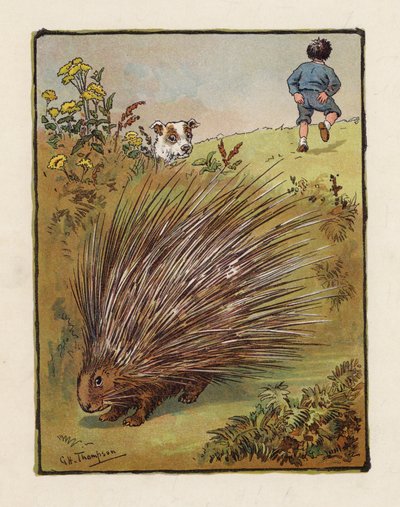 Piggsvinet (färglitografi) av George Henry Thompson
