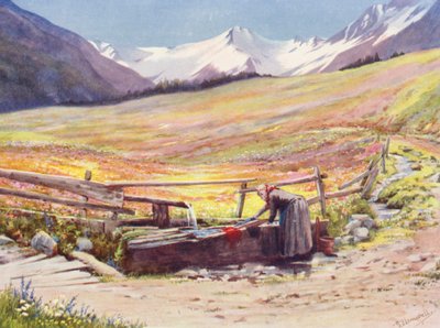 Fält i början av juni utanför Praz de Fort i Val Ferret, med stöd av Groupe du Grand Saint-Bernard et du Grand Golliaz (färglitografi) av George Jackson Flemwell