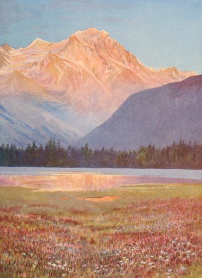 Kväll bland fält av rosa bistort vid Lac Champex; solnedgångsglöd på Grand Combin, juli (färglitografi) av George Jackson Flemwell