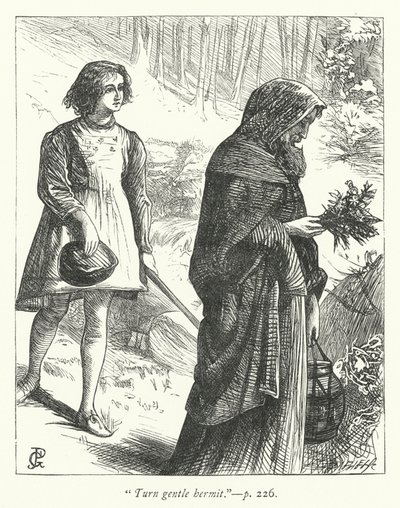 Illustration för Eremiten (gravyr) av George John Pinwell