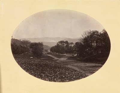 En väg i Williamstown, ca. 1870. av George Kendall Warren