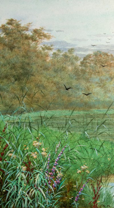Sommar (akvarell) av George Marks