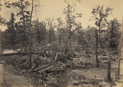 Slagfältet vid Atlanta, Georgia, 22 juli 1864, nr 1 av George N. Barnard