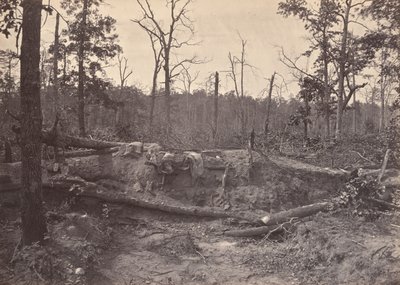 Battle Field of New Hope Church, GA, nr 2, 1866. av George N. Barnard