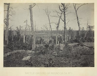 Battle Ground of Resacca, GA, nr 3, 1866. av George N. Barnard