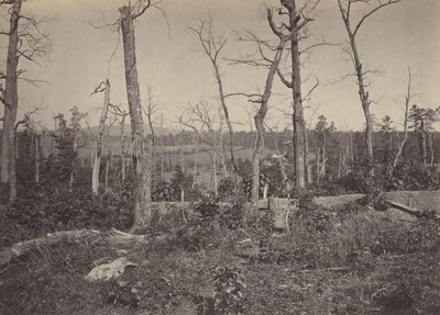 Battle Ground of Resacca, Georgia nr 3, 1860-talet. av George N. Barnard