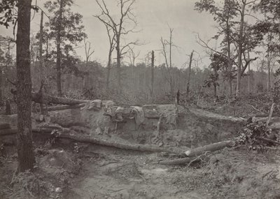 Battlefield of New Hope Church, Georgia, nr 2, 1865-1866. av George N. Barnard