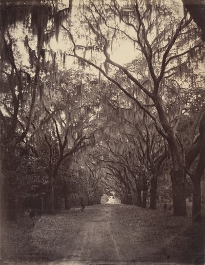  av George N. Barnard