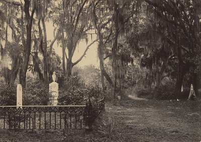 Bonaventure, Savannah, Georgia, 1860-talet. av George N. Barnard