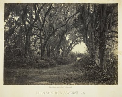Buen-Ventura Savannah, Ga. av George N. Barnard