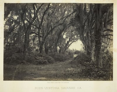 Bon-Ventura Savannah, Ga., 1866. av George N. Barnard