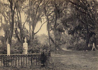 Buen-Ventura, Savannah, Georgia av George N. Barnard