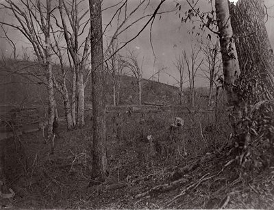 Bull Run, Virginia, 1861-62. av George N. Barnard
