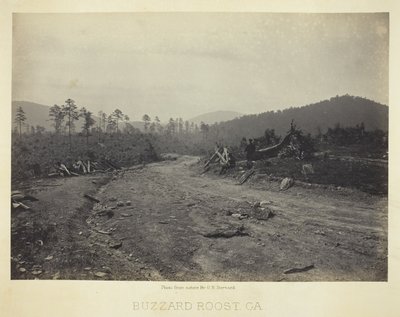Buzzard Roost, GA av George N. Barnard