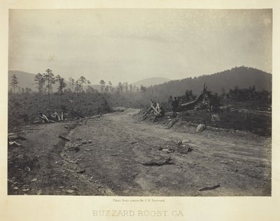 Buzzard Roost, GA, 1866. av George N. Barnard