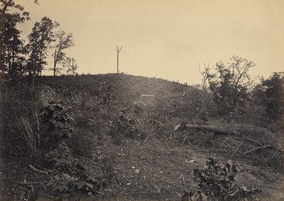 Pine Mountain av George N. Barnard