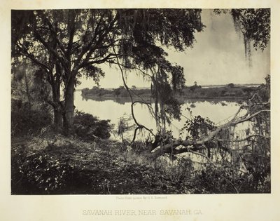 Savannah River, nära Savannah, GA, 1866. av George N. Barnard