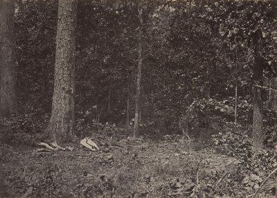 Scen för General McPhersons död, 1864 eller 1866. av George N. Barnard