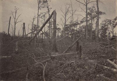 The Hell Hole New Hope Church, Georgia, 1860-talet. av George N. Barnard