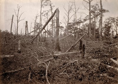 "Hell Hole", New Hope Church, Georgia, från Photographic Views of Sherman