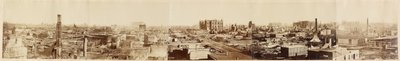 Untitled (Chicago after the Chicago Fire) av George N. Barnard