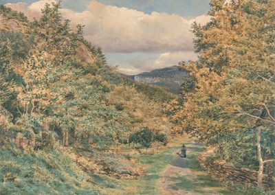 En väg nära Bettws-y-Coed av George Price Boyce