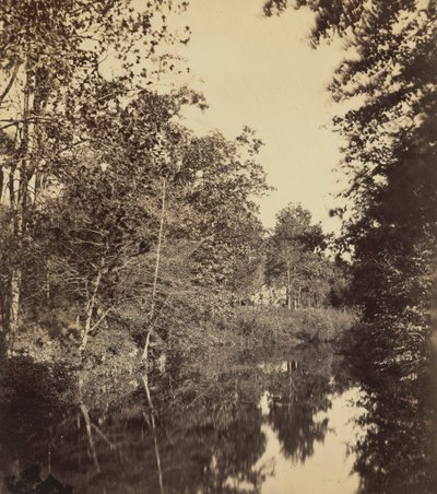 The Dell,1863 (foto) av George Rockwood Gardner