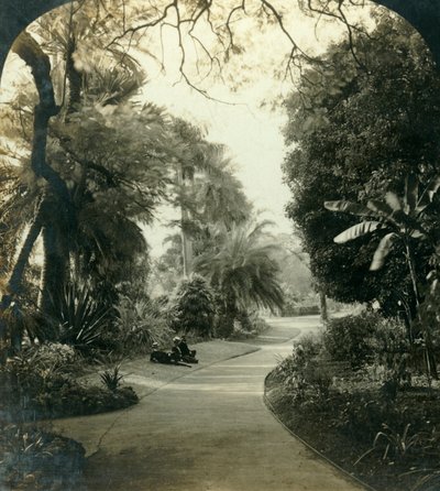 Pathway i Queens Park, Brisbane, Australien, c1909. av George Rose