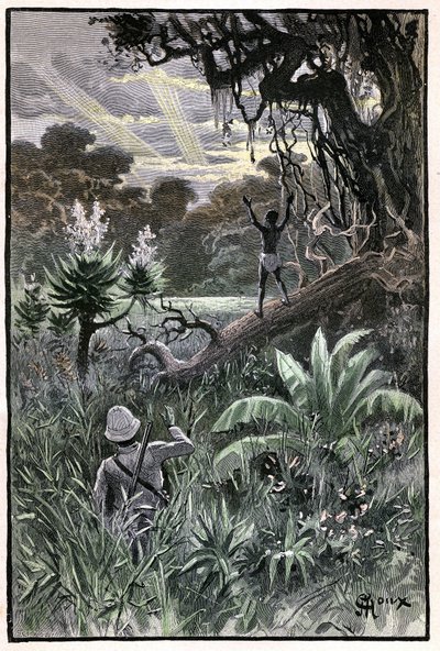 Illustration av George Roux till Jules Vernes bok "The Aerien Village" (1901), Hetzel edition/Extraordinary Voyages, Known and Unknown Worlds. Utsikt över en afrikansk skog (Kongo). av George Roux