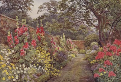 Blyborough, stockrosor av George Samuel Elgood