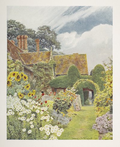 Cleeve Prior, Sunflowers, illustration i "Some English Gardens", av George S. Jekzel Elgood & Gertrude Jekyll av George Samuel Elgood