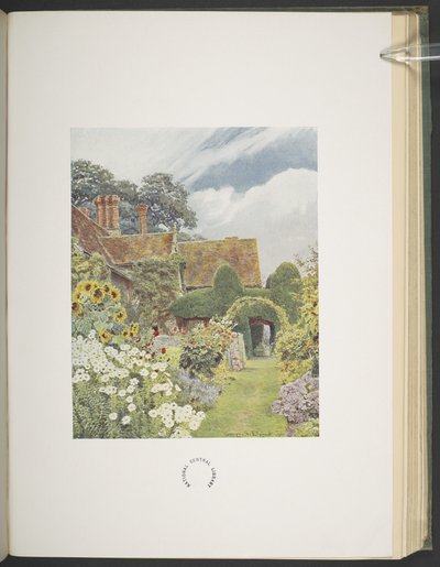 Cleeve Prior, Sunflowers, illustration i "Some English Gardens", av George S. Jekzel Elgood & Gertrude Jekyll av George Samuel Elgood