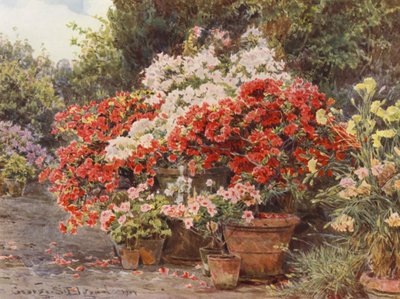 Italienska trädgårdar: Azaleor (färglitografi) av George Samuel Elgood