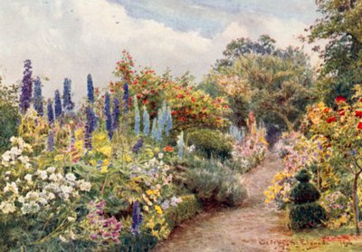 Larkspurs (färglitografi) av George Samuel Elgood