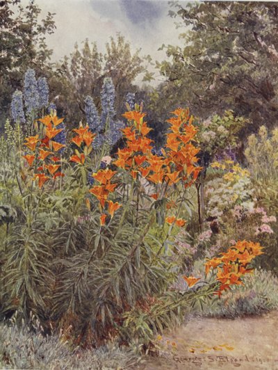 Apelsinliljor och Larkspur av George Samuel Elgood