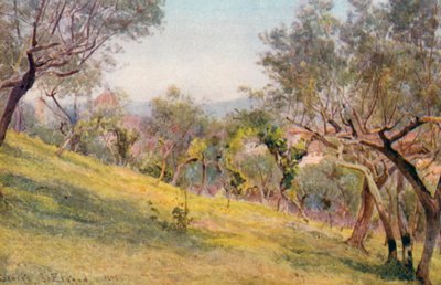 Genom olivlundarna, Florens (färglitografi) av George Samuel Elgood