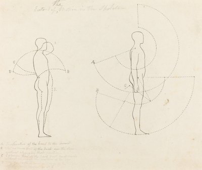 Rörelsens omfattning visas i två figurer av George Scharf after John Flaxman