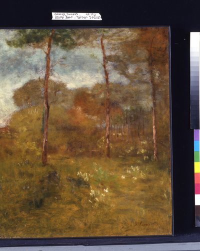 Orange Road, Tarpon Springs (olja på duk) av George Snr. Inness