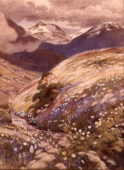 alpina blommor (akvarell på papper) av George Soper